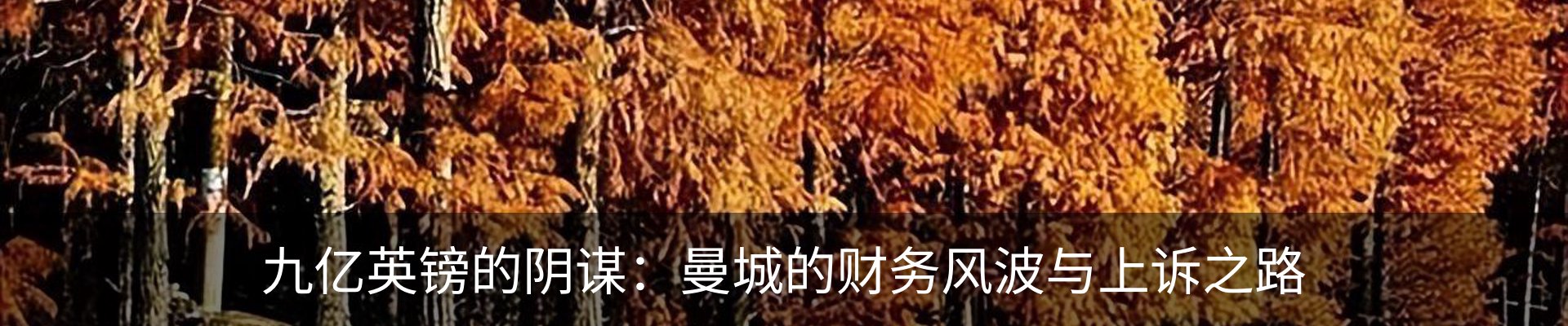 内页banner